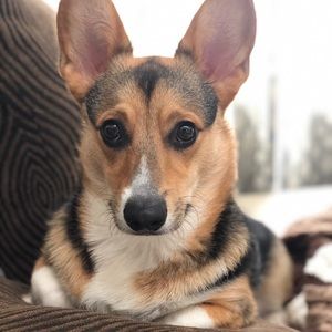 Meet your Posher, Jacy